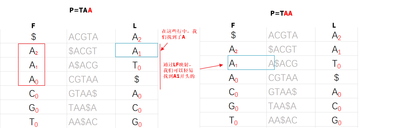 FM-index-3
